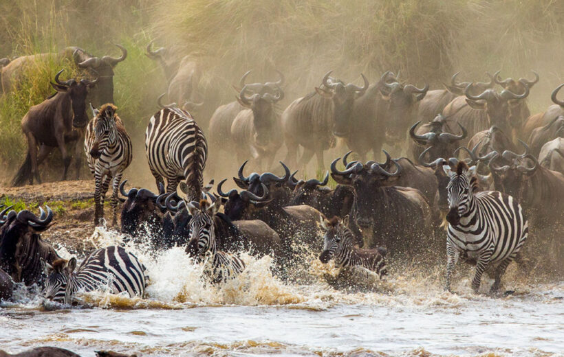 8-Day Exclusive Luxury Safari Escape. From $3245 pp(USD)