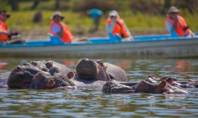 1-Day Hell’s Gate, Crescent Island & Lake Naivasha Wildlife Experience