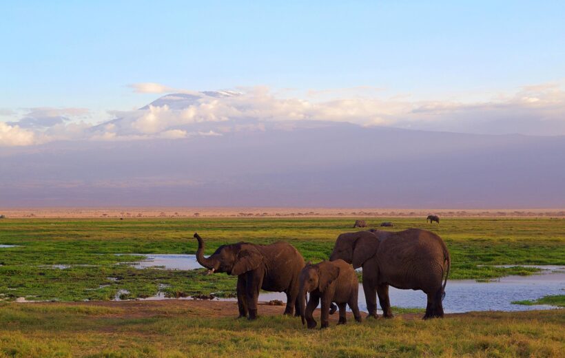 3 Days Amboseli Wildlife Safari: From $787 (Mid-Range)