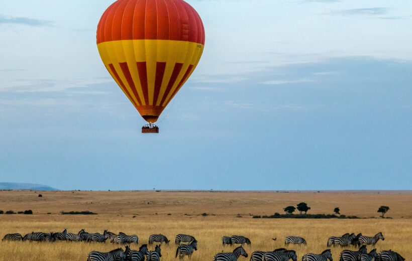 2-Day Masai Mara Premium Fly-In Safari